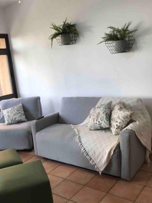 Apto Executivo Prox Hospitais E Shopping Apartment Ribeirão Preto Екстериор снимка